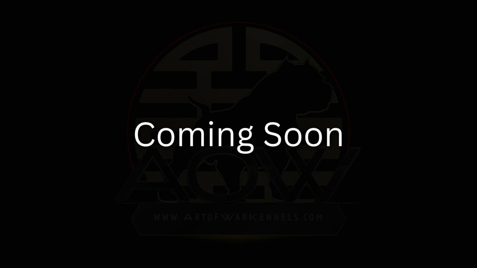 XL Bully & XL Pitbull Puppies